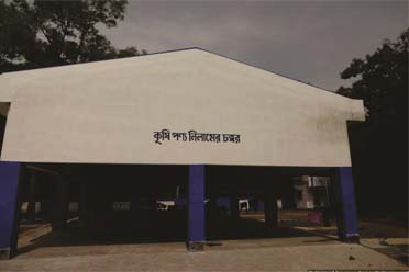 Auction Platform,Keshiary Krishak Bazar
